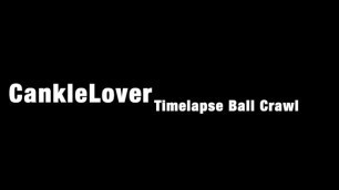 CankleLover Time-lapse Ball Crawl 2018-12-25